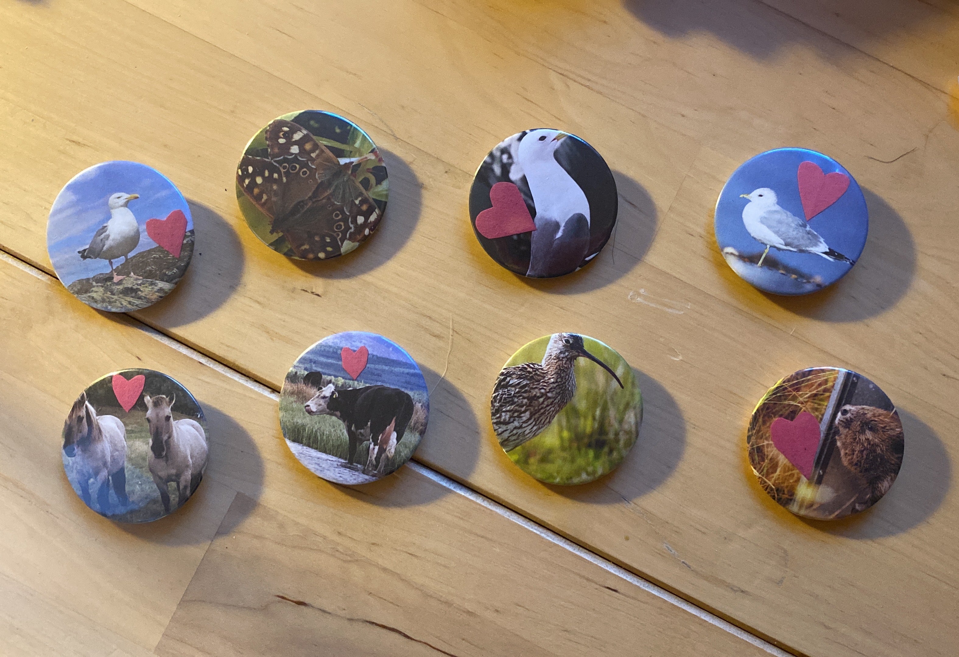 mystery animal/bug badge