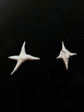 Large four pointed star soft earrings