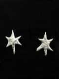 Large six pointed star earrings